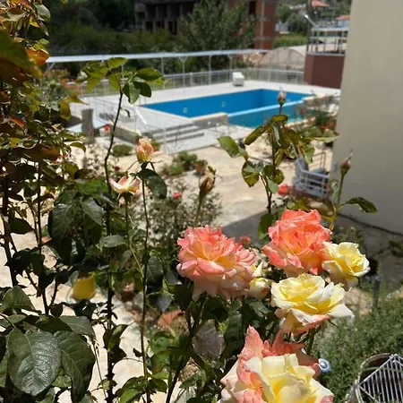 Rose 3* Πάταρα