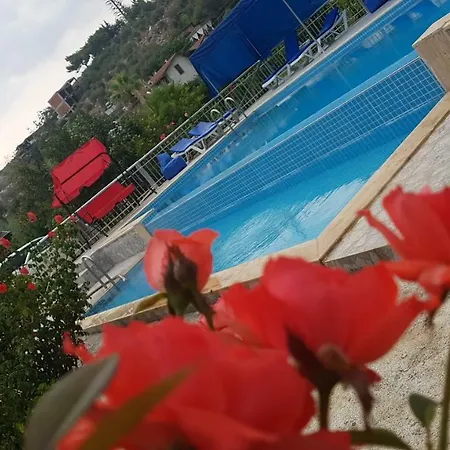 Rose Pensionat 3*