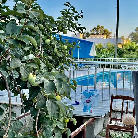 Rose Pensiune Patara