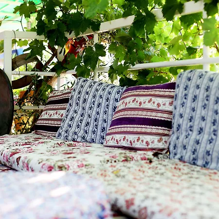 Πανσιόν Rose Πάταρα