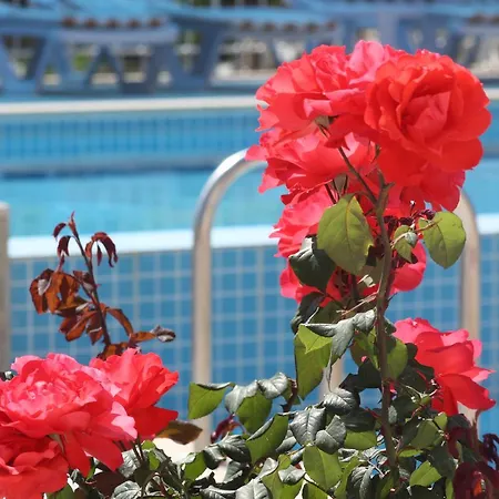 Rose Gæstehus 4*