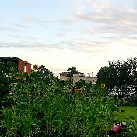 Rose Gæstehus