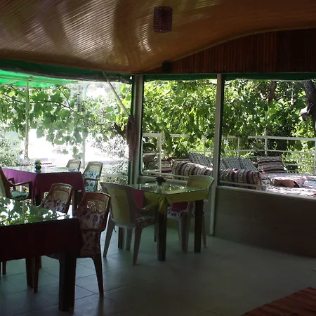 Rose 招待所 帕塔拉