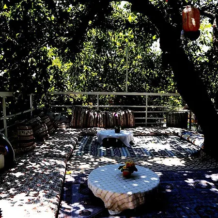 Rose 招待所 帕塔拉